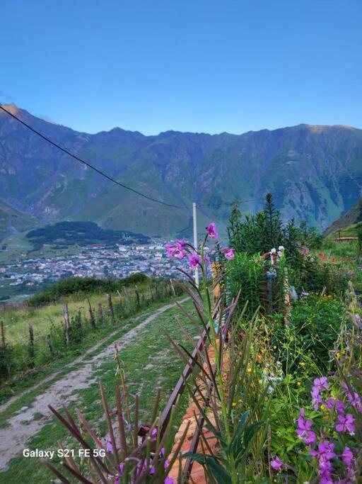 Peak House Βίλα Kazbegi Εξωτερικό φωτογραφία